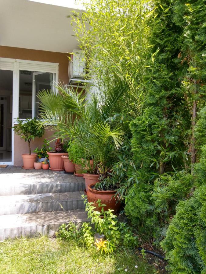 Bamboo Wellness Apartment شيوفوك المظهر الخارجي الصورة